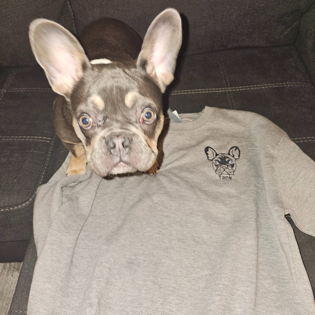 Sweat-shirt à col rond | Dessin au trait personnalisé pour animaux de compagnie