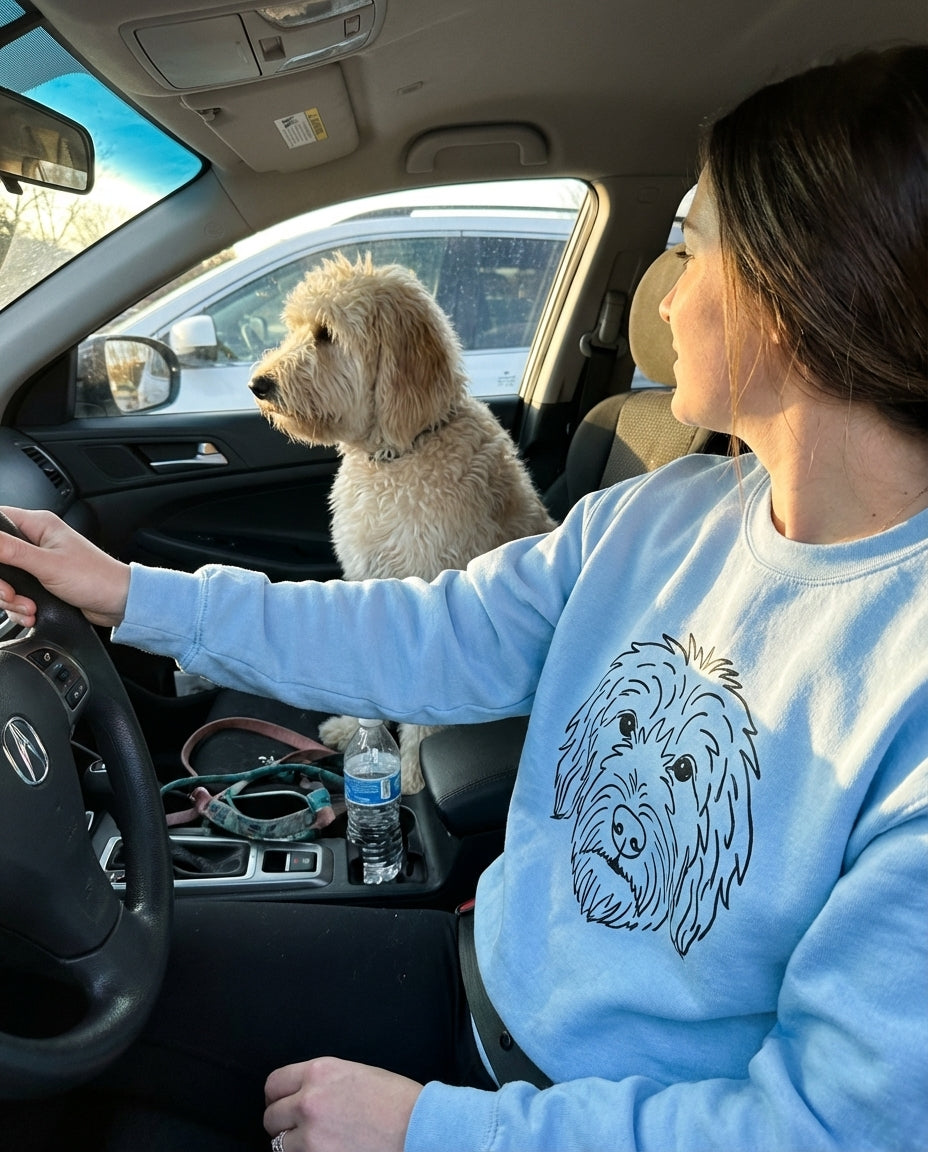 UGC_RUN:dilly_ugc_project_20260315_182618|FILE:custom-dog-face-unisex-sweatshirt_04_center_large.png