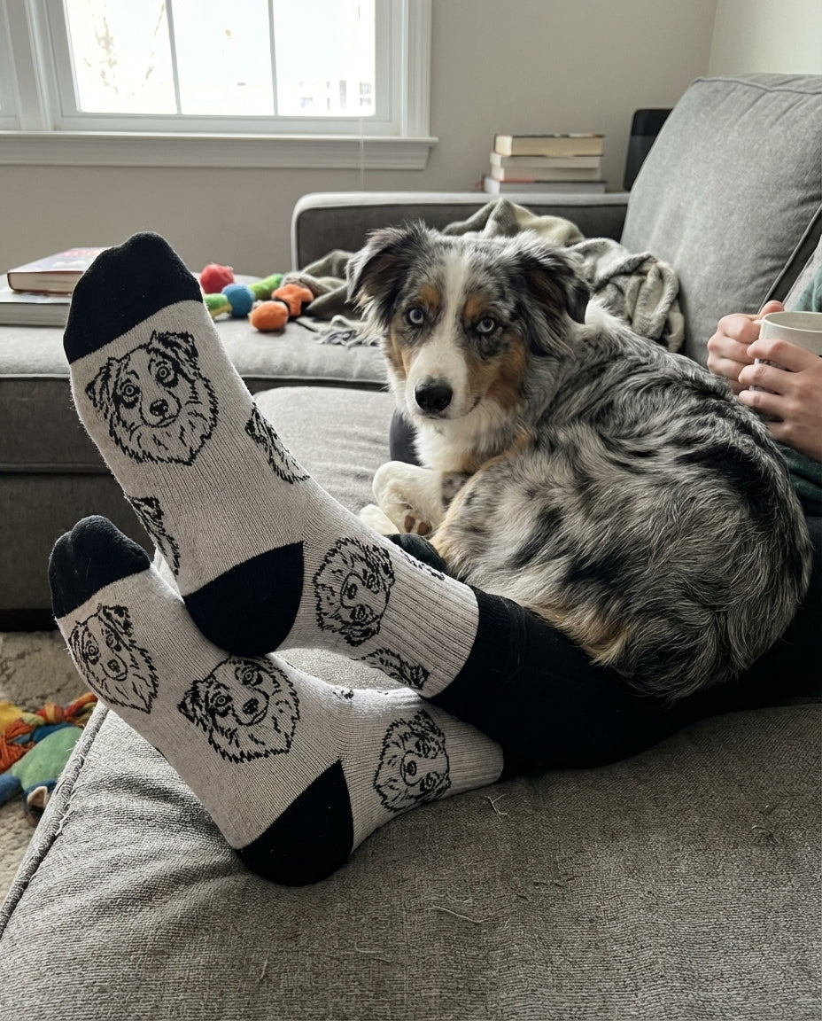 UGC_PRIMARY:custom-pet-socks|FILE:custom-pet-socks_01_product_native.png