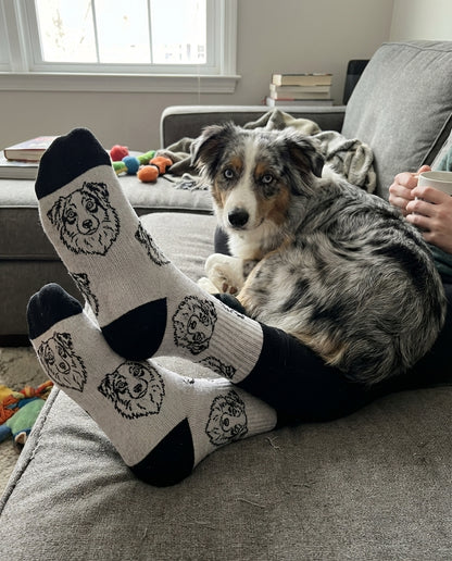 UGC_PRIMARY:custom-pet-socks|FILE:custom-pet-socks_01_product_native.png