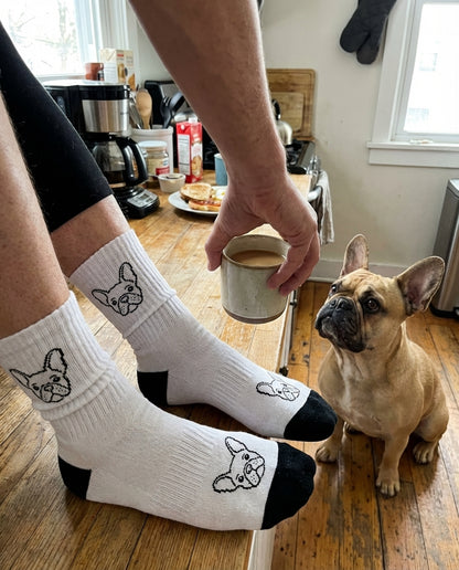 UGC_RUN:dilly_ugc_project_20260315_194817|FILE:custom-pet-socks_02_product_native.png