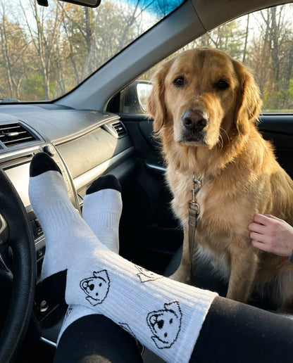 UGC_RUN:dilly_ugc_project_20260315_194817|FILE:custom-pet-socks_04_product_native.png