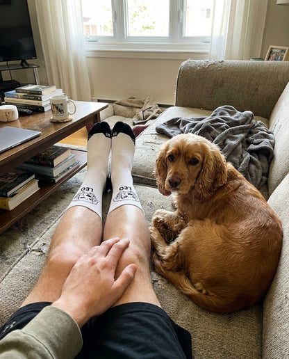 UGC_RUN:dilly_ugc_project_20260315_182618|FILE:customized-pet-face-socks-bring-your-pet-with-you-wherever-you-go_01_product_native.png