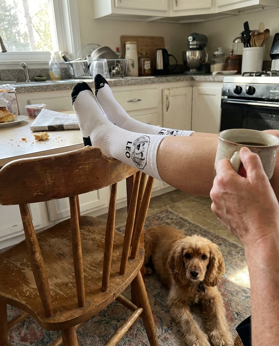 UGC_RUN:dilly_ugc_project_20260315_182618|FILE:customized-pet-face-socks-bring-your-pet-with-you-wherever-you-go_02_product_native.png