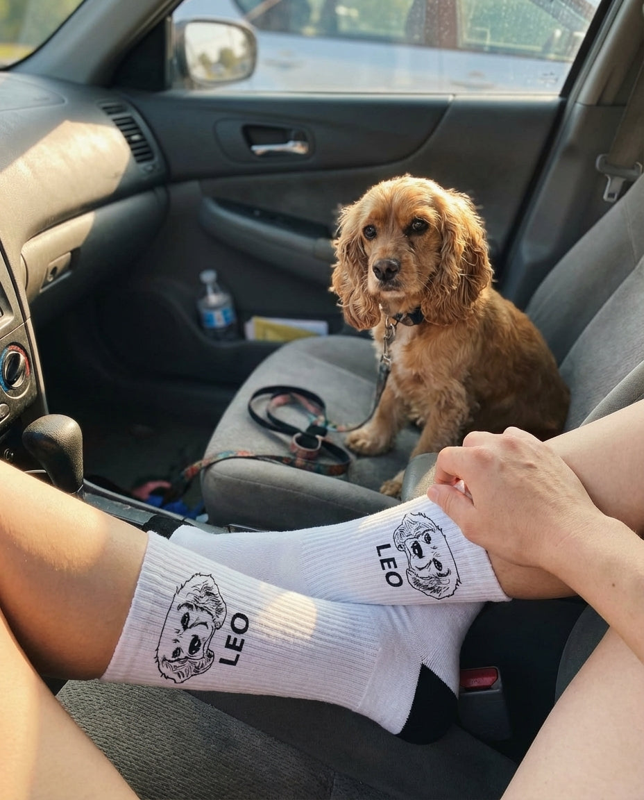 UGC_RUN:dilly_ugc_project_20260315_182618|FILE:customized-pet-face-socks-bring-your-pet-with-you-wherever-you-go_04_product_native.png