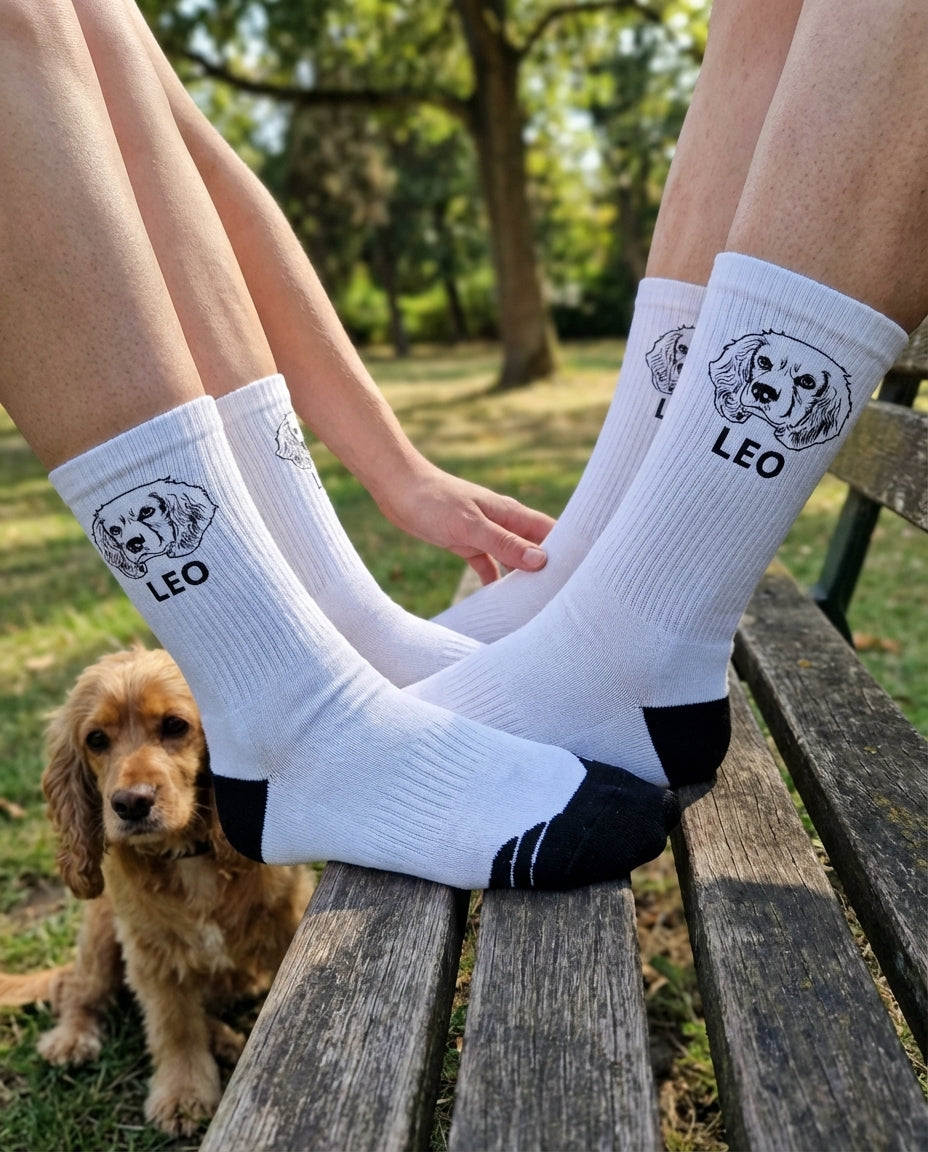 UGC_RUN:dilly_ugc_project_20260315_182618|FILE:customized-pet-face-socks-bring-your-pet-with-you-wherever-you-go_05_product_native.png
