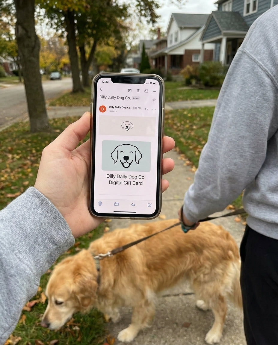 UGC_RUN:dilly_ugc_project_20260315_182618|FILE:dilly-dally-dog-digital-gift-card_03_product_native.png