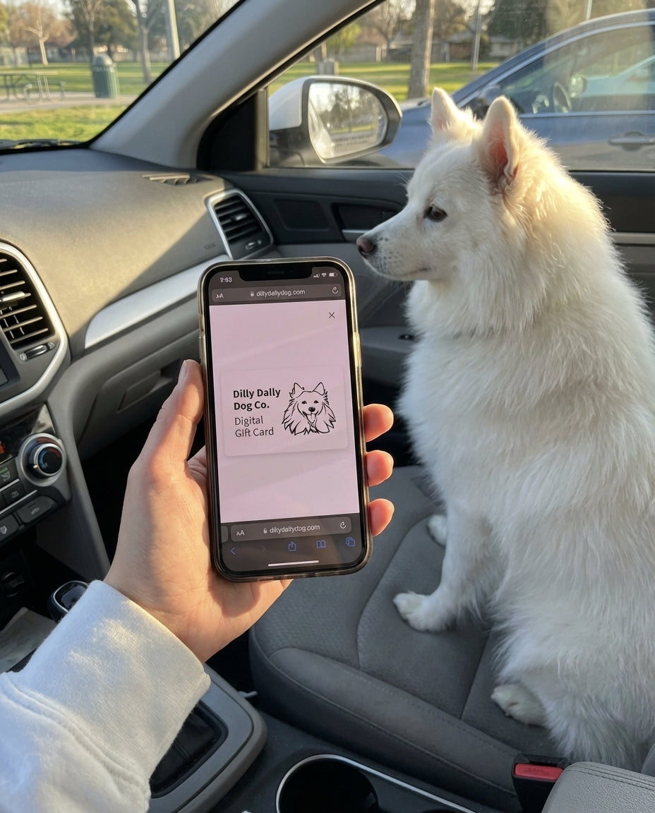 UGC_RUN:dilly_ugc_project_20260315_182618|FILE:dilly-dally-dog-digital-gift-card_04_product_native.png