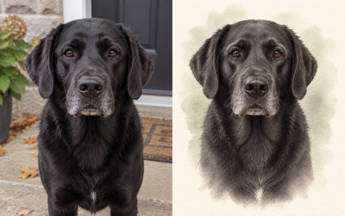 Black Labrador example photo and AI-created watercolor portrait showing brown eyes and a grey muzzle
