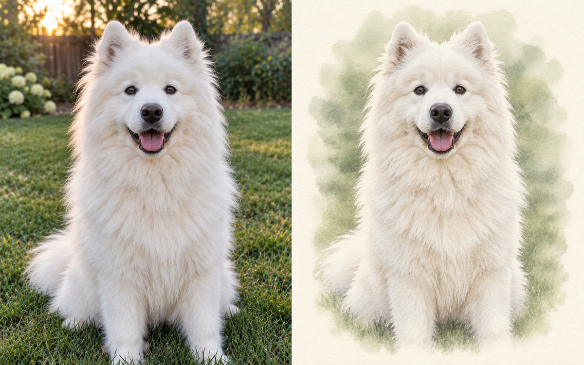 Samoyed photo beside a matching AI-created watercolor dog portrait