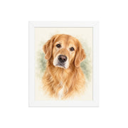 Golden retriever watercolor portrait in the 8 × 10 inch white frame