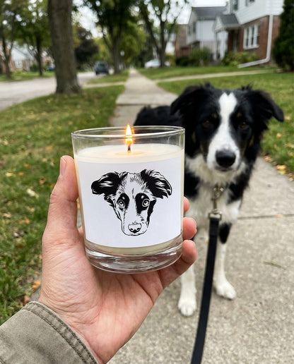 UGC_RUN:dilly_ugc_project_20260315_182618|FILE:personalized-dog-candle_03_product_native.png