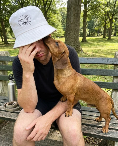 White custom pet bucket hat with a dachshund line-art portrait, worn beside a dachshund on a park bench